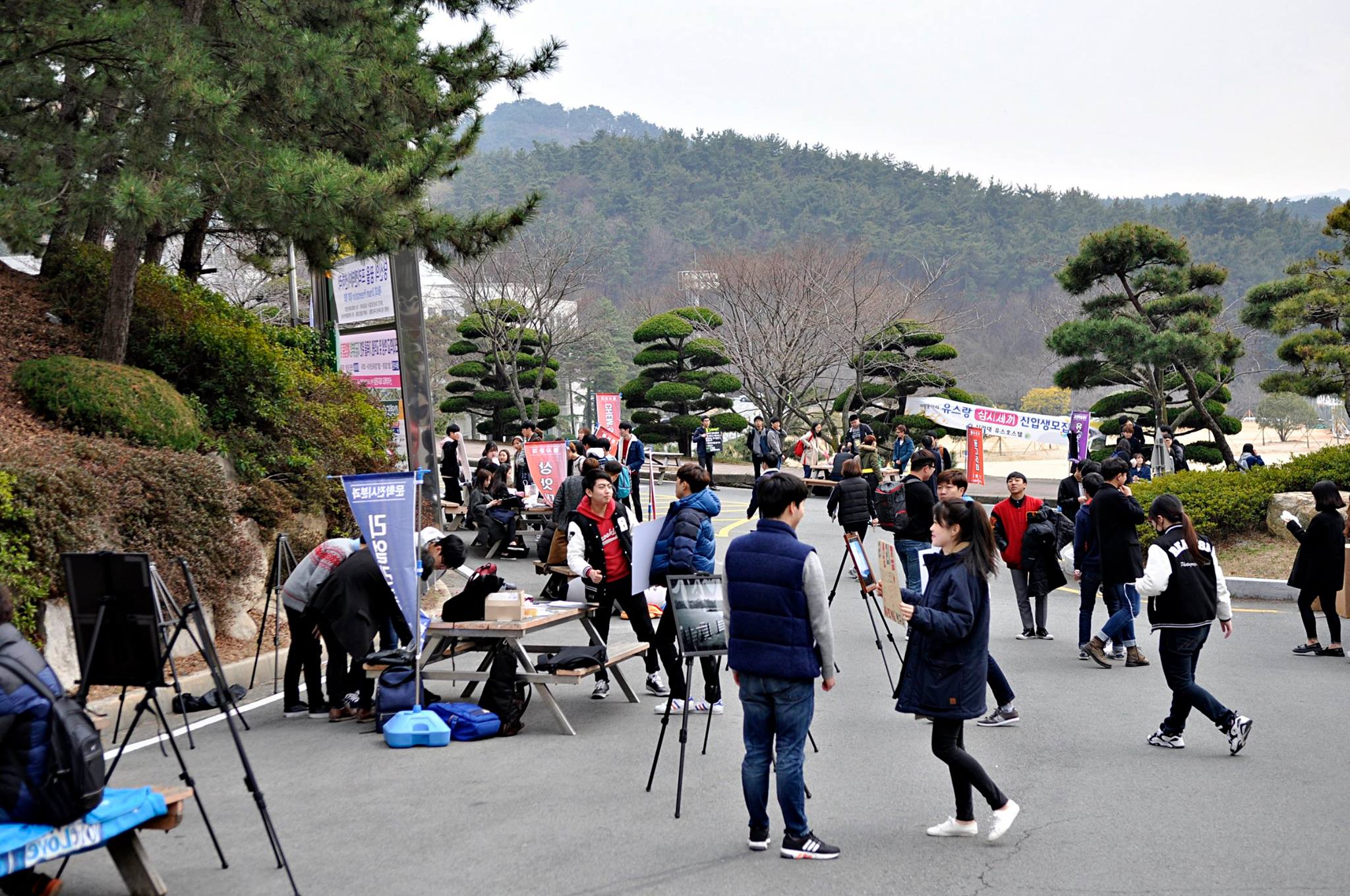 韓國新羅大學(xué)--經(jīng)營信息學(xué)博士學(xué)位招生簡章-唐廈智創(chuàng)教育 韓國新羅大學(xué)--經(jīng)營信息學(xué)博士學(xué)位招生簡章-唐廈智創(chuàng)教育