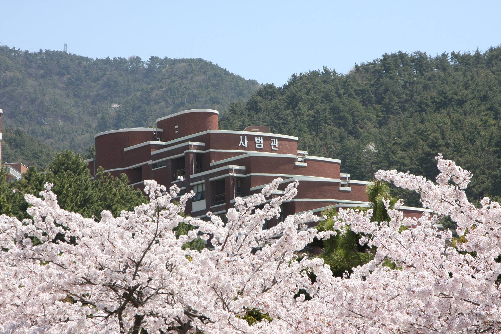 韓國新羅大學--貿易學博士學位招生簡章-唐廈智創(chuàng)教育 韓國新羅大學--貿易學博士學位招生簡章-唐廈智創(chuàng)教育