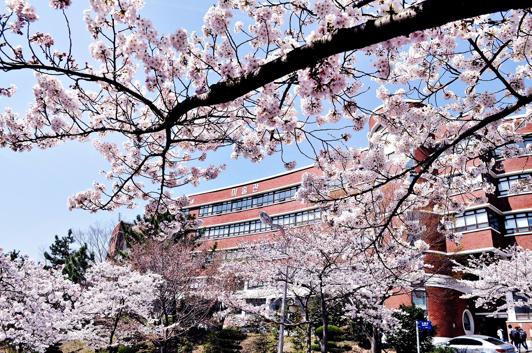 韓國新羅大學(xué) 本科招生簡章-唐廈智創(chuàng)教育 韓國新羅大學(xué) 本科招生簡章-唐廈智創(chuàng)教育