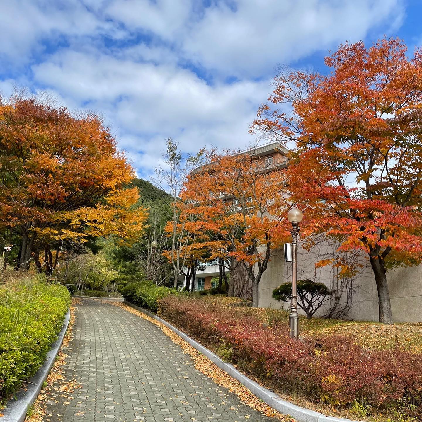 頭條:廣東唐廈教育與韓國新羅大學(xué)開展戰(zhàn)略合作-唐廈智創(chuàng)教育 頭條:廣東唐廈教育與韓國新羅大學(xué)開展戰(zhàn)略合作-唐廈智創(chuàng)教育