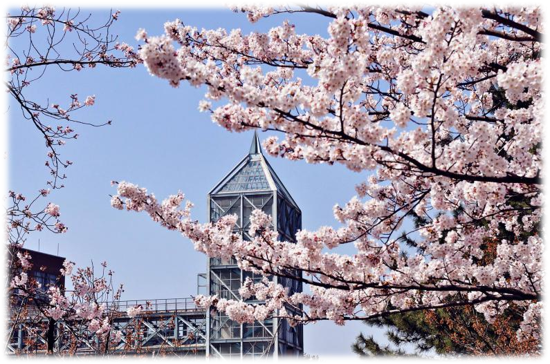 名校推薦:韓國(guó)新羅大學(xué)-唐廈智創(chuàng)教育 名校推薦:韓國(guó)新羅大學(xué)-唐廈智創(chuàng)教育