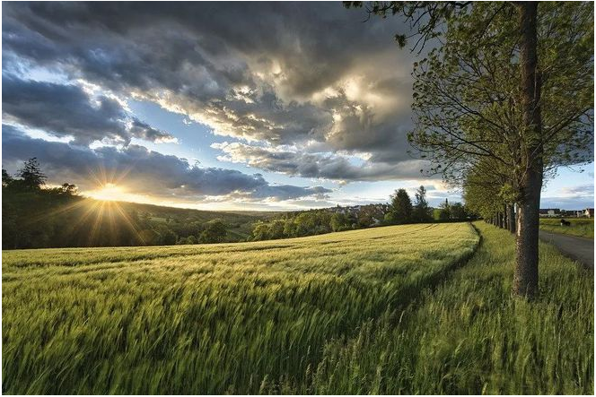 菲律賓留學體驗篇(一)-唐廈智創(chuàng)教育 菲律賓留學體驗篇(一)-唐廈智創(chuàng)教育
