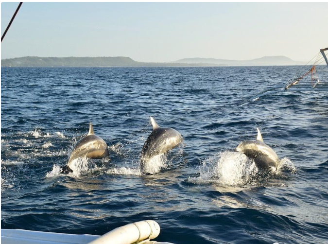 宿霧 —— 這座菲律賓的海島有可能成為中國游客的“后花園”-唐廈智創(chuàng)教育
