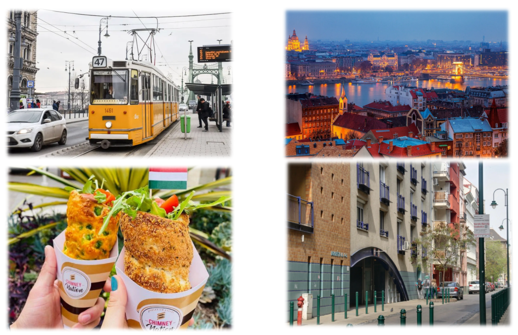 匈牙利維克勒商學(xué)院本科招生-唐廈智創(chuàng)教育 匈牙利維克勒商學(xué)院本科招生-唐廈智創(chuàng)教育